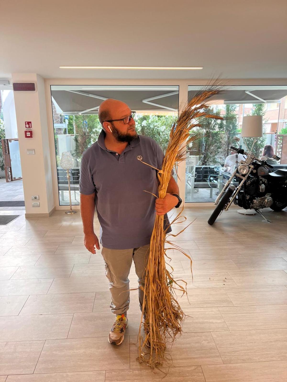 Pineto Resort Εξωτερικό φωτογραφία